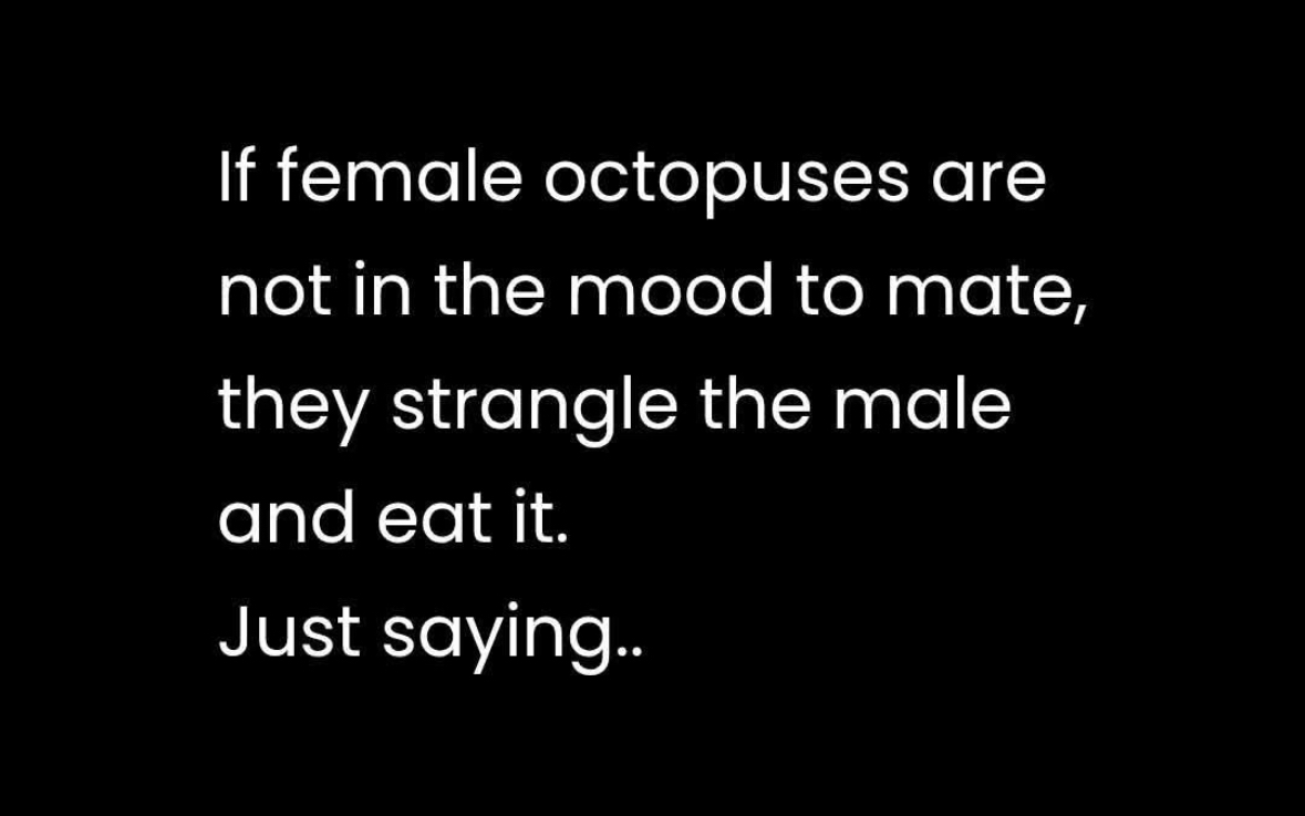 So basically, don't mess with female octopuses, got it.