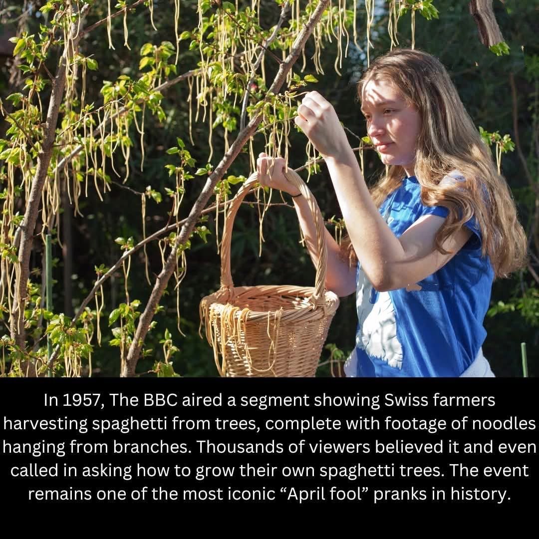 This is that one time the BBC convinced everyone spaghetti grew on trees... and people actually believed it.