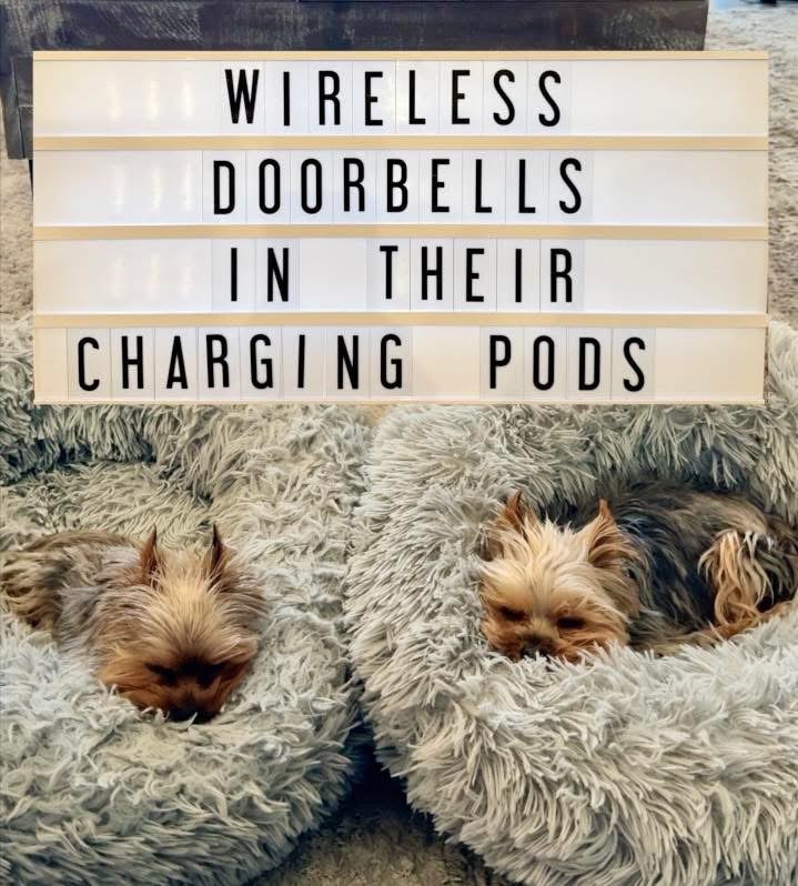 My dogs are the ultimate wireless doorbells, recharging in their fluffy pods