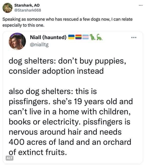 Dog shelters telling you to adopt but then showing you a dog that needs 400 acres and extinct fruits. lol