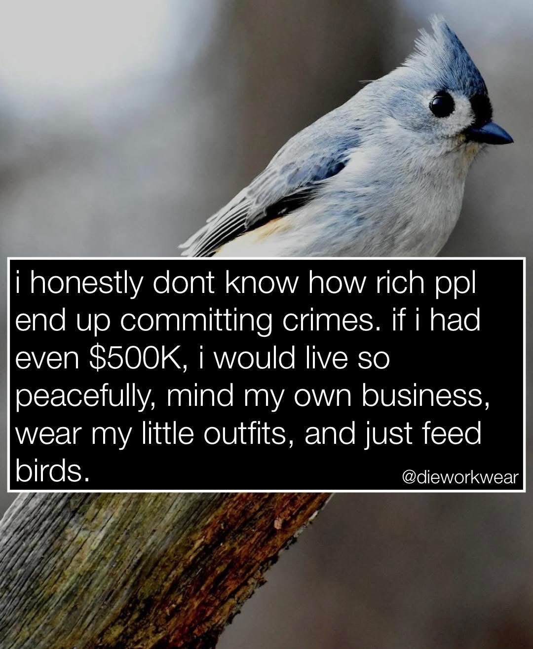 Imagine having enough money to just chill and feed birds, but rich people still commit crimes? Make it make sense.