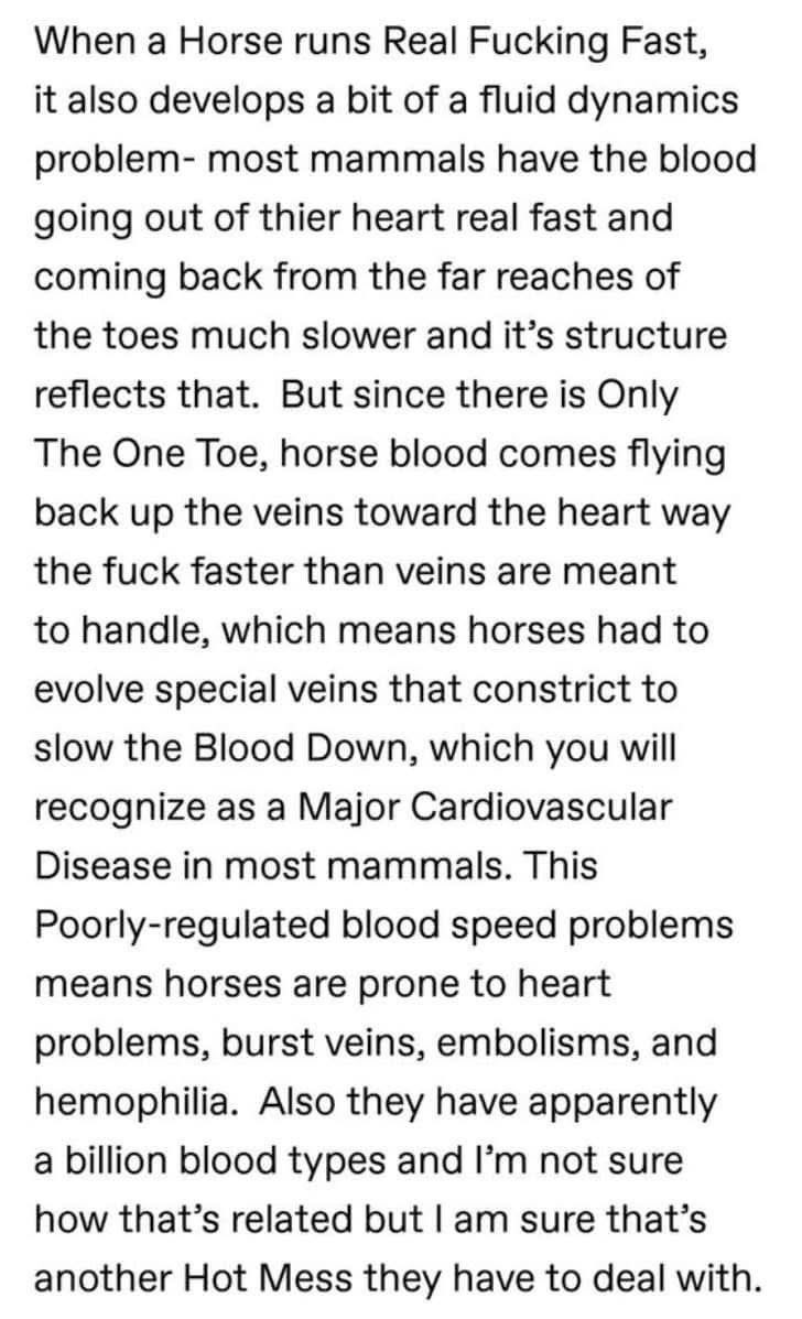 Horses are just built different... apparently their legs are basically a biological error.