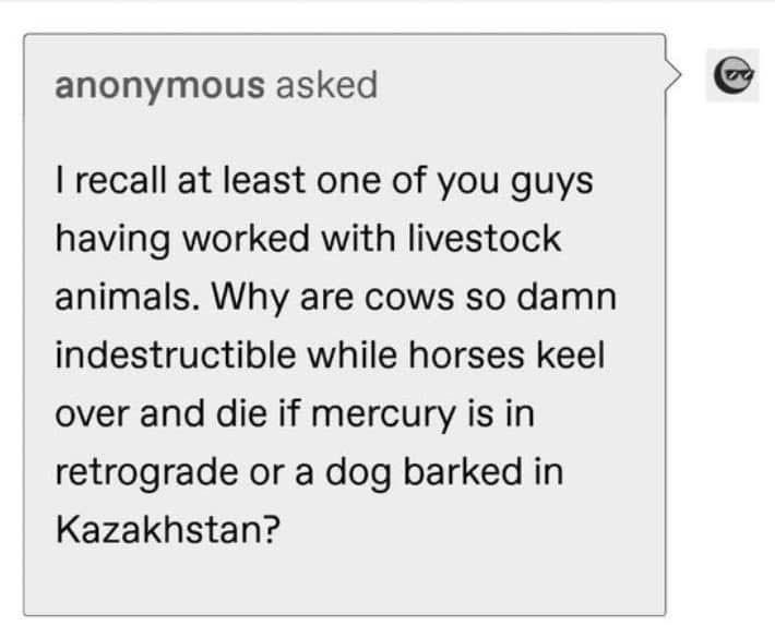 Mfs really out here asking why horses are so sensitive if mercury is in retrograde but cows are built different lmaoo