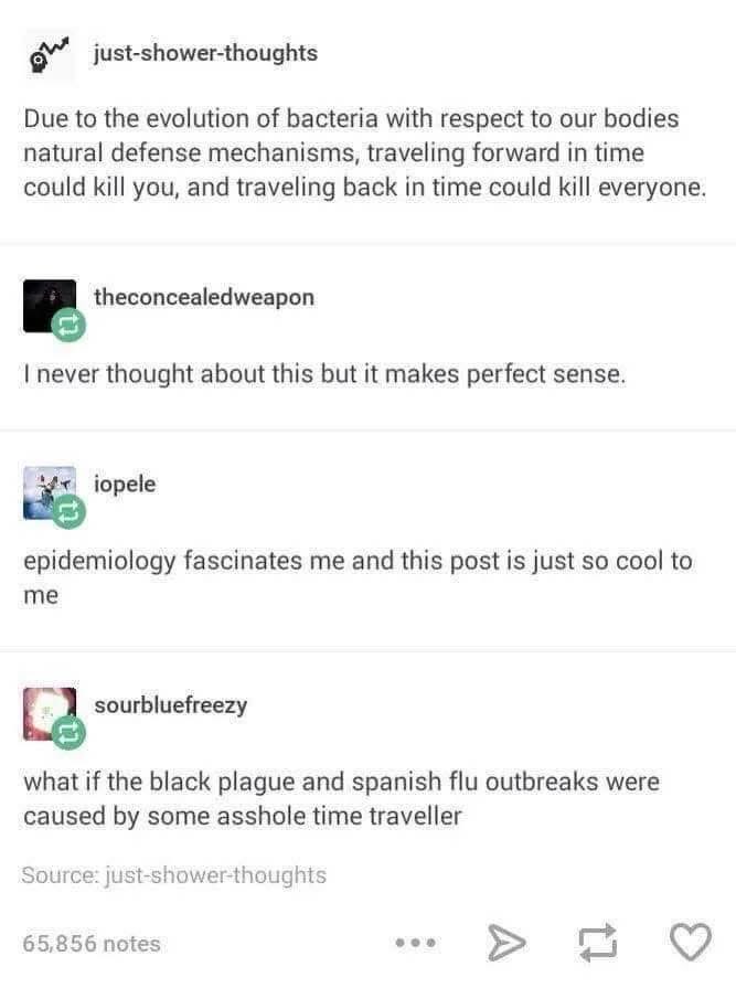 So you're saying we shouldn't invent time travel because us or everyone else might get sick?