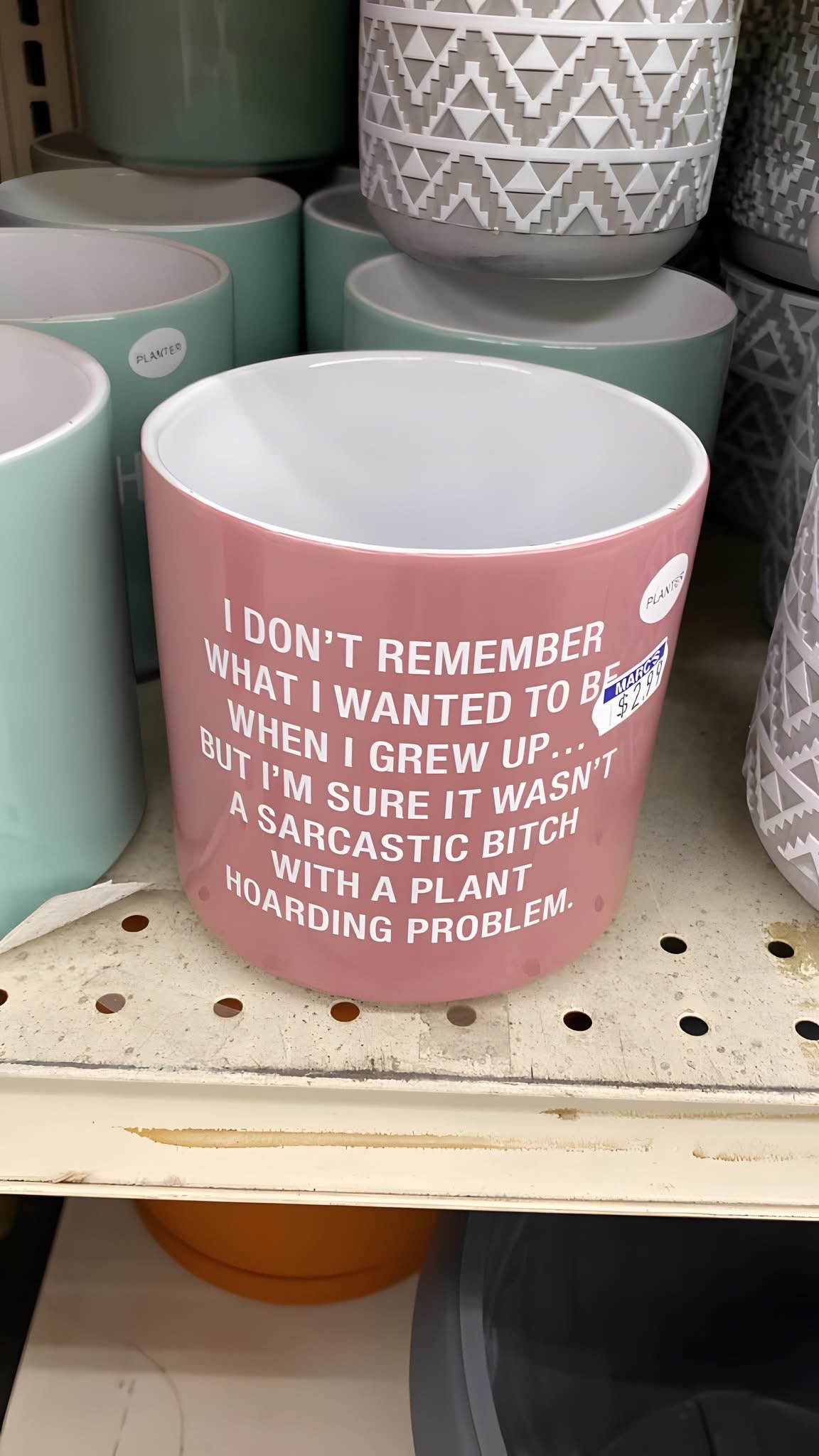 This planter perfectly sums up my future adult aspirations. Who knew I'd grow up to be a sarcastic bitch with a plant hoarding problem?