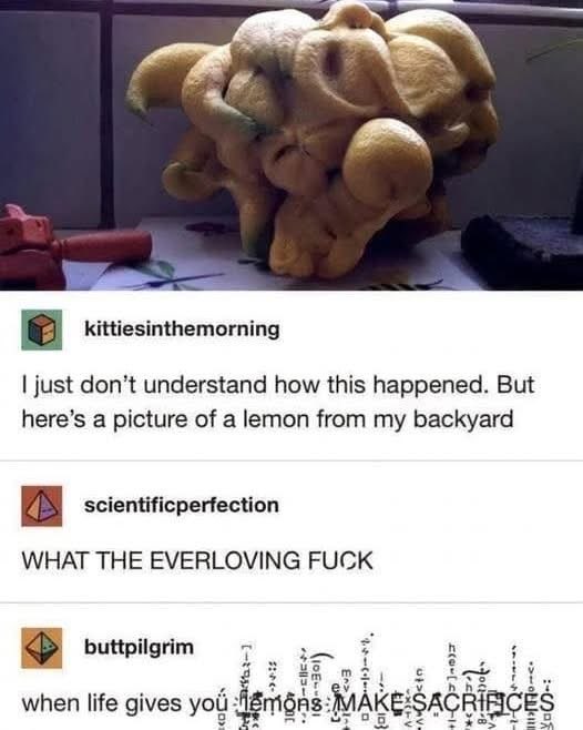 When life gives you lemons, you literally have to make sacrifices. This is not a normal lemon.