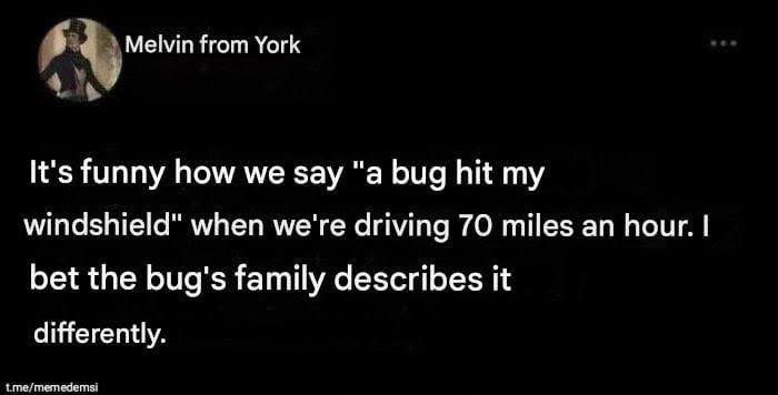 Lol, imagine the bug's family saying "He was hit by a windshield at 70 mph"
