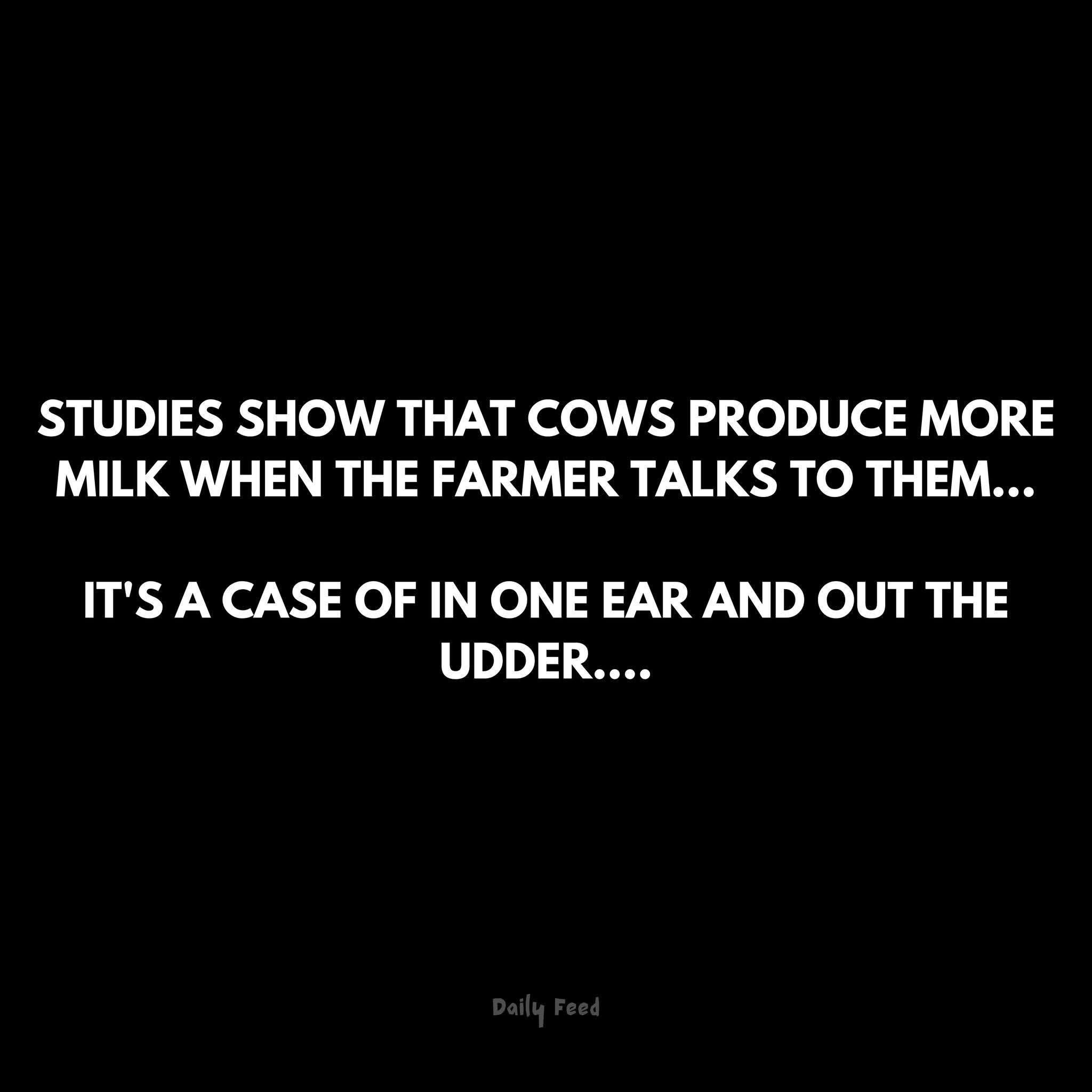 This joke is a classic 'in one ear and out the other' pun, but for cows and milk production.