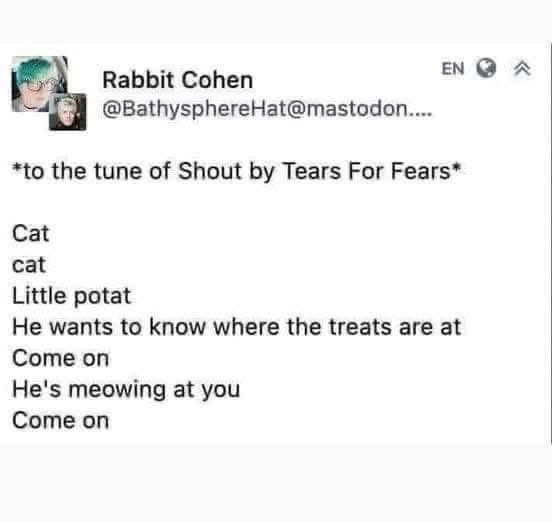 My cat demanding treats but sung to the tune of Tears for Fears "Shout."