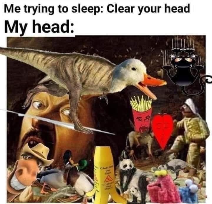 My brain having a complete meltdown when I'm trying to fall asleep