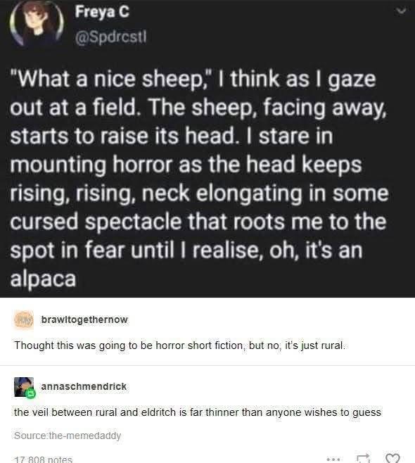 When you think you're seeing a horror movie monster but it's just a really tall alpaca.