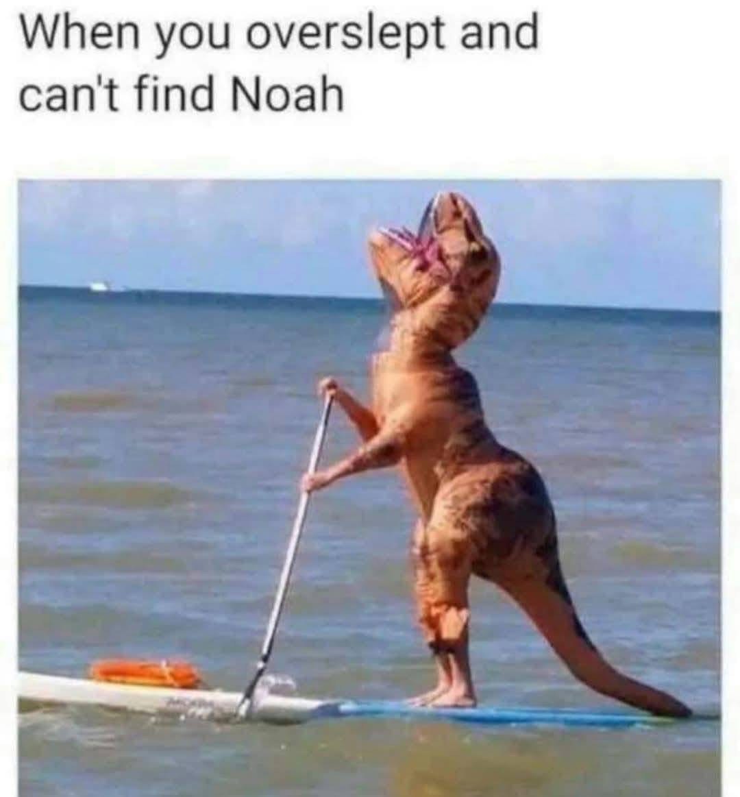 Me trying to find any sign of life after oversleeping