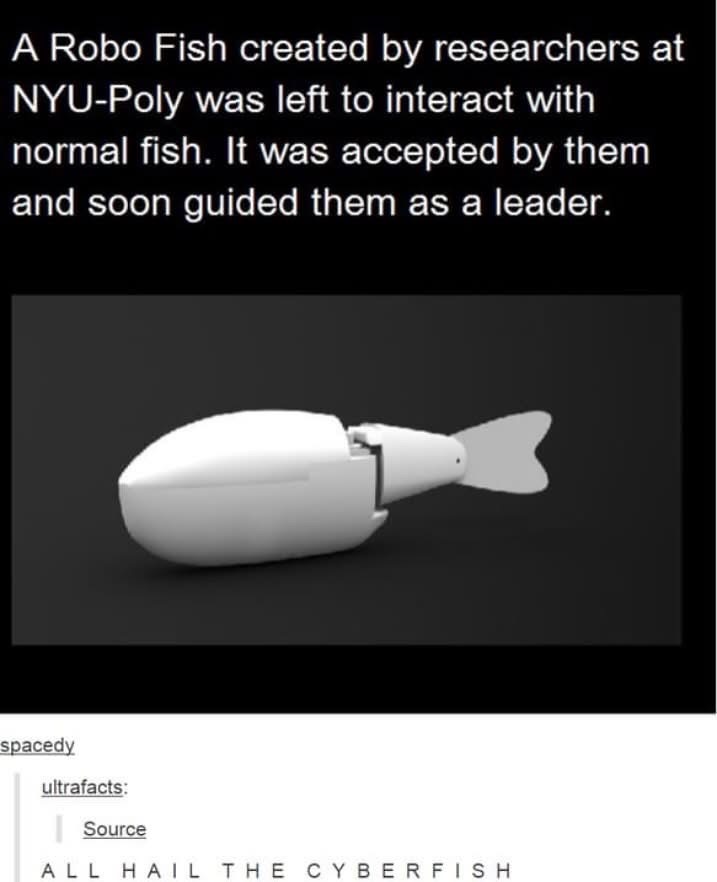 When the robot fish becomes king of the sea