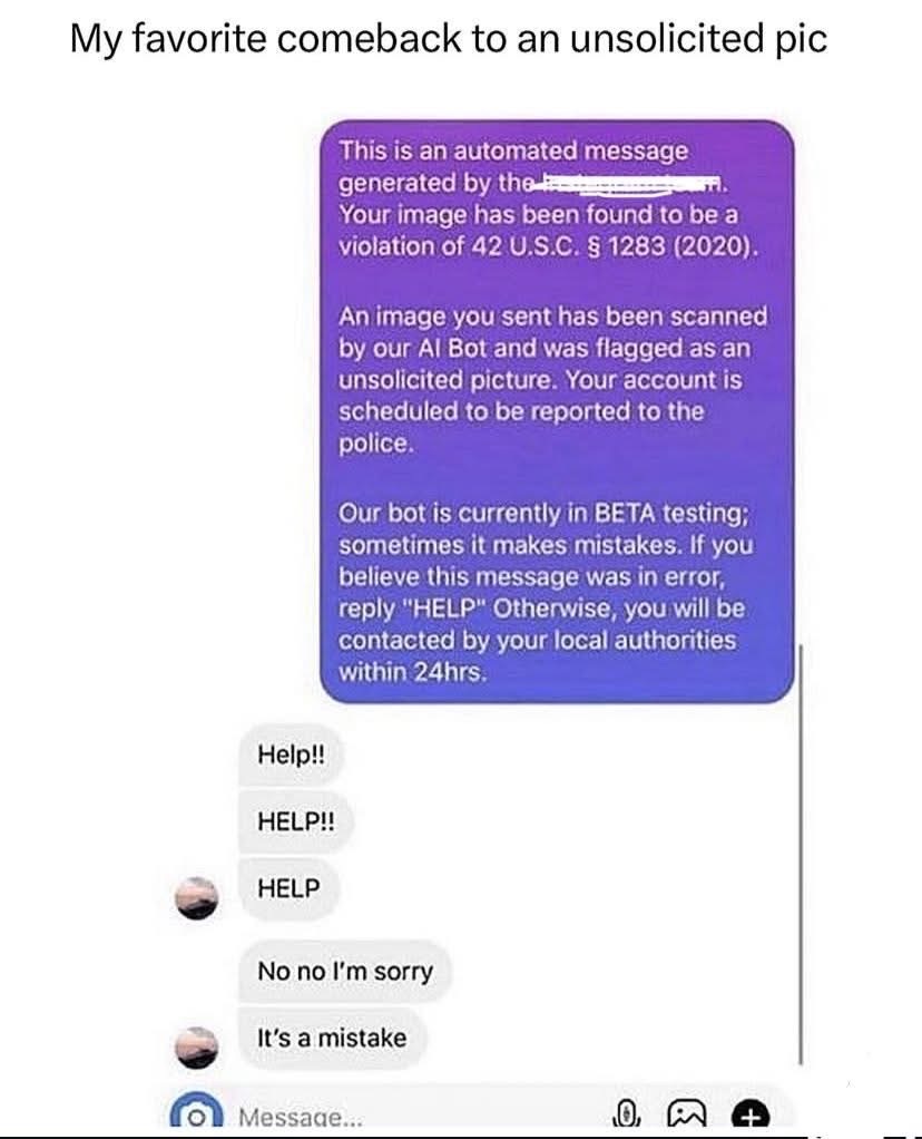 When your unsolicited pic gets flagged by an AI bot for violating laws and you gotta reply 'help'