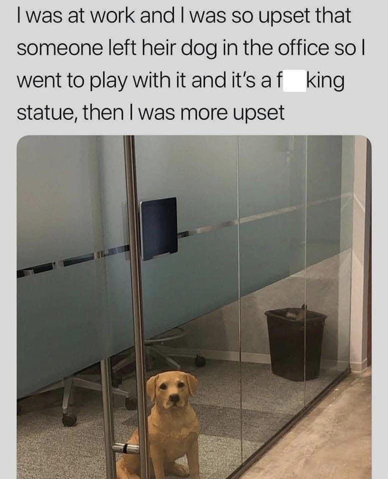 Thought it was a dog left at the office, then realized it was just a statue and got even more upset.