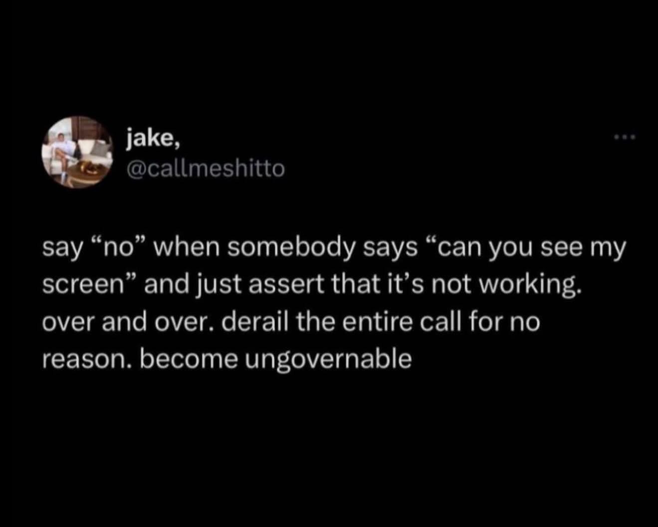 When you want to be difficult during a work call and just say 'no' even though you can see the screen.