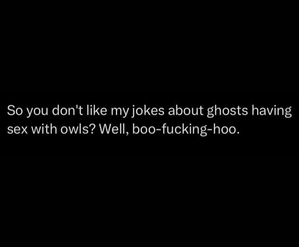 My jokes are so bad, they're actually ghost puns about owls having sex. And if you don't laugh, well, boo-fucking-hoo.