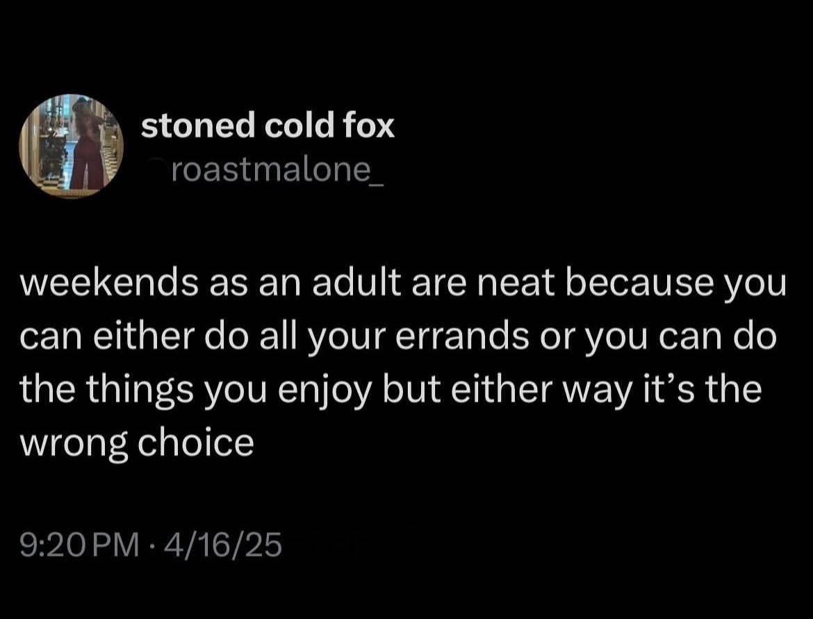 Adulting is a scam. Weekends are supposed to be fun but you either have to do chores or do stuff you enjoy.