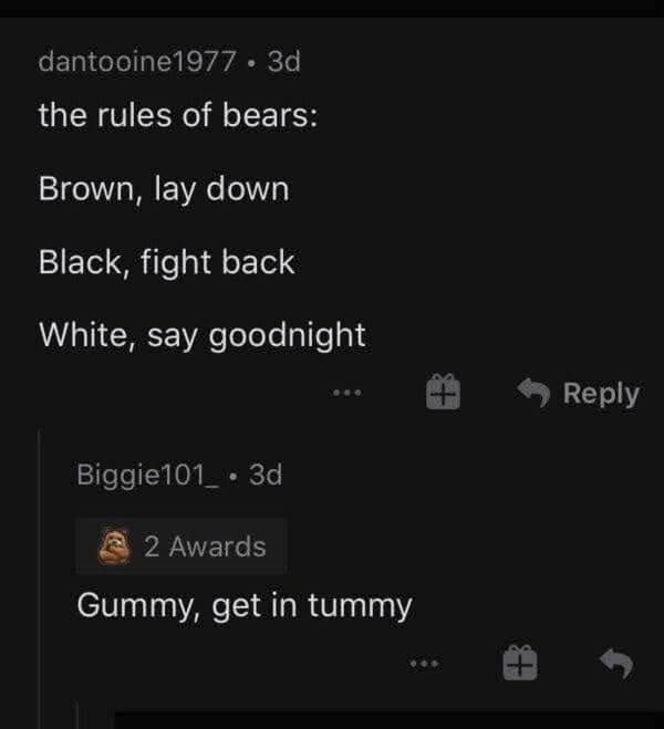 Someone tried to explain the rules of bears and then someone else added the best rule