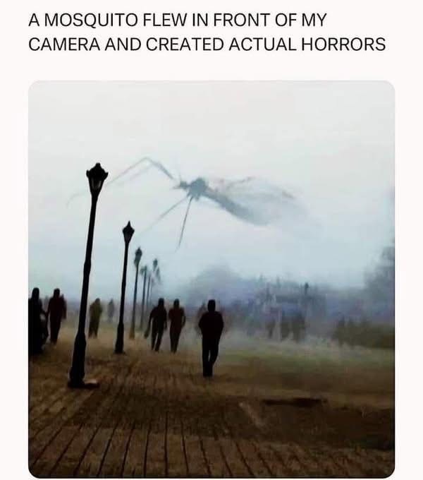 Mosquito flying in front of the camera basically created a Mothra movie poster