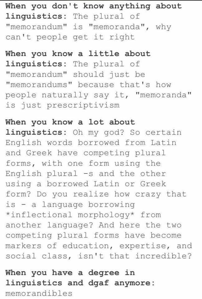 The grammar nerd's journey: from "memoranda" to "memorandums" to "memorandibles"