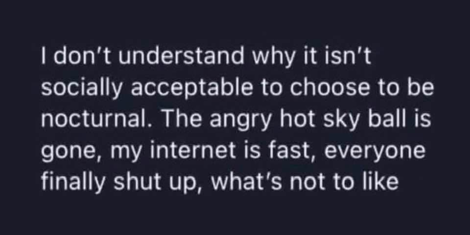 me trying to explain why night time is the superior time to exist