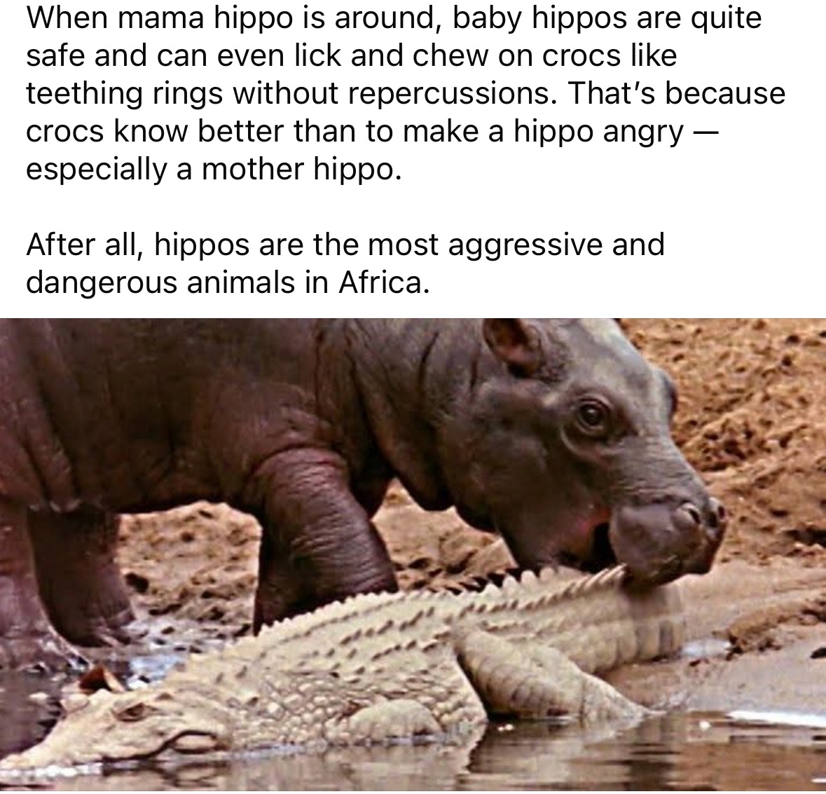When your mom's around, even the scariest people tread lightly