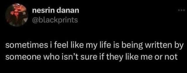 When you feel like your life is a poorly written fanfic where the author can't decide if you're the main character or a background person
