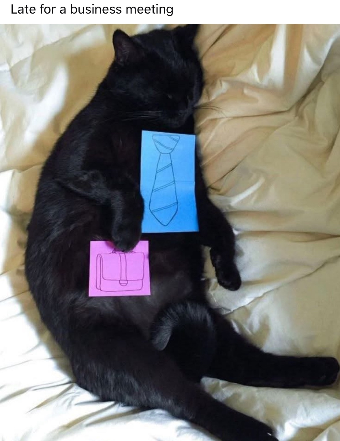 This plushie's not going to work today, he's still too tired from all that napping.