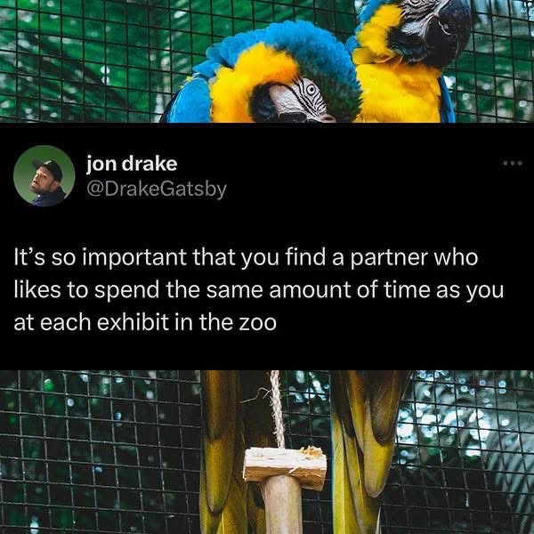 Me finding someone who will also spend hours at the zoo doing absolutely nothing.