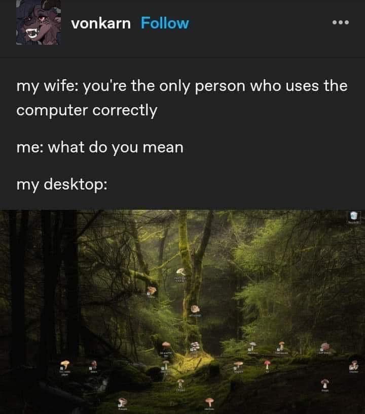 My desktop is just a bunch of mushrooms, so yeaaah, I guess I use the computer 'correctly.'