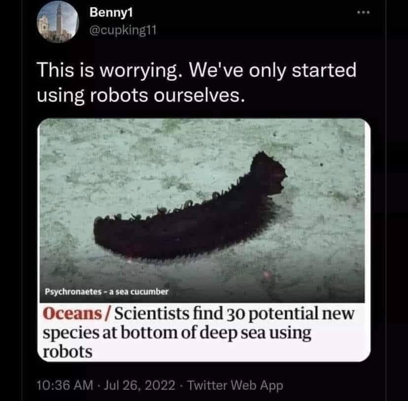 When you see a sea cucumber and the article is all about robots finding new species using robots. It's a whole robot situation.