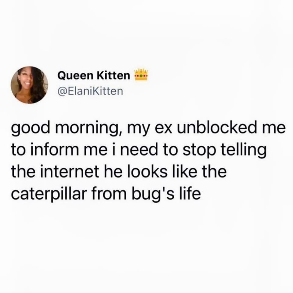 My ex unblocked me just to tell me to stop posting pics of him that look like the caterpillar from A Bug's Life. Ouch.