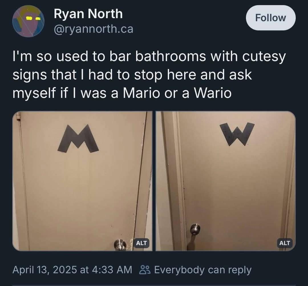 Lol this person went to the bathroom and got existential about whether they were a Mario or a Wario