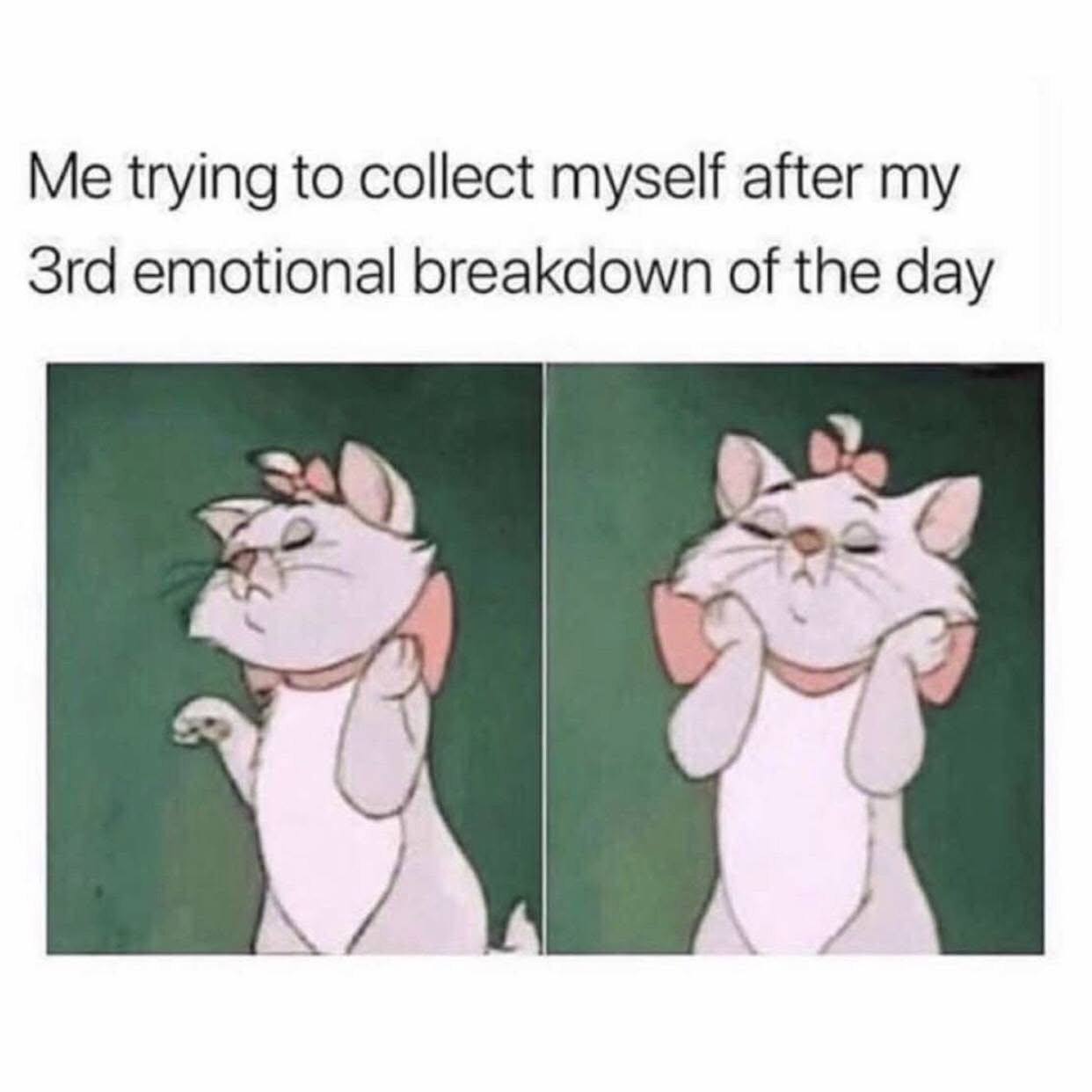 Me trying to get my life together after my 97th existential crisis this week