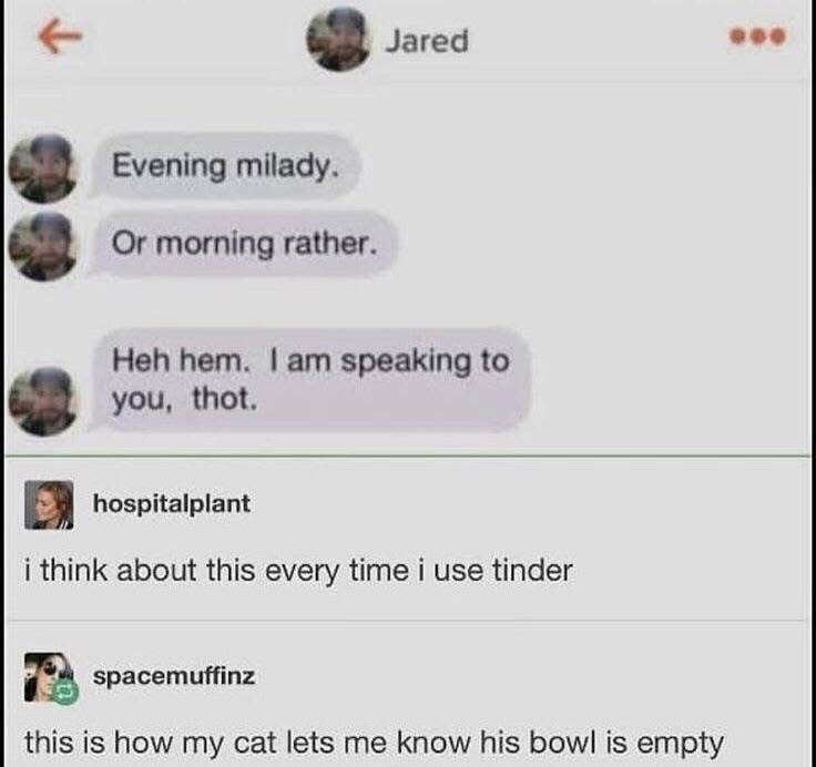 When you go from 'milady' to calling them a 'thot' in two messages.