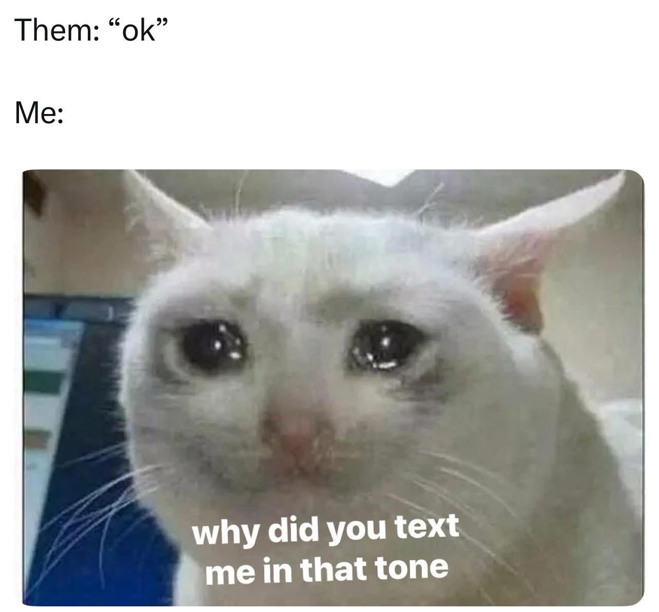 When someone says 'ok' and you're already spiraling about what that tone means