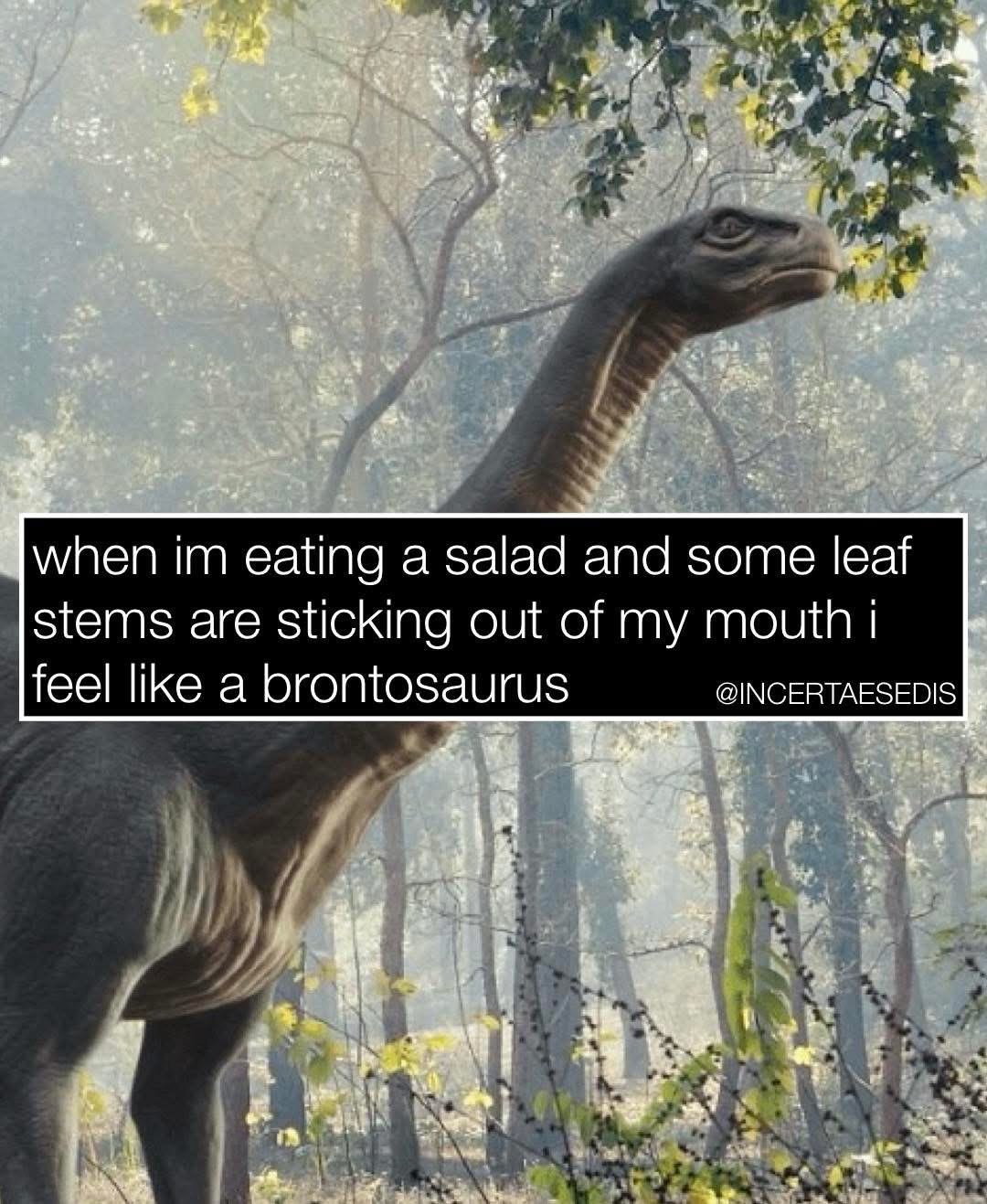 Lmao when you're a brontosaurus with salad stuck in your teeth