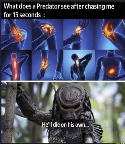 Me after literally any physical exertion, and the predator is just like 'nah, not worth it.'