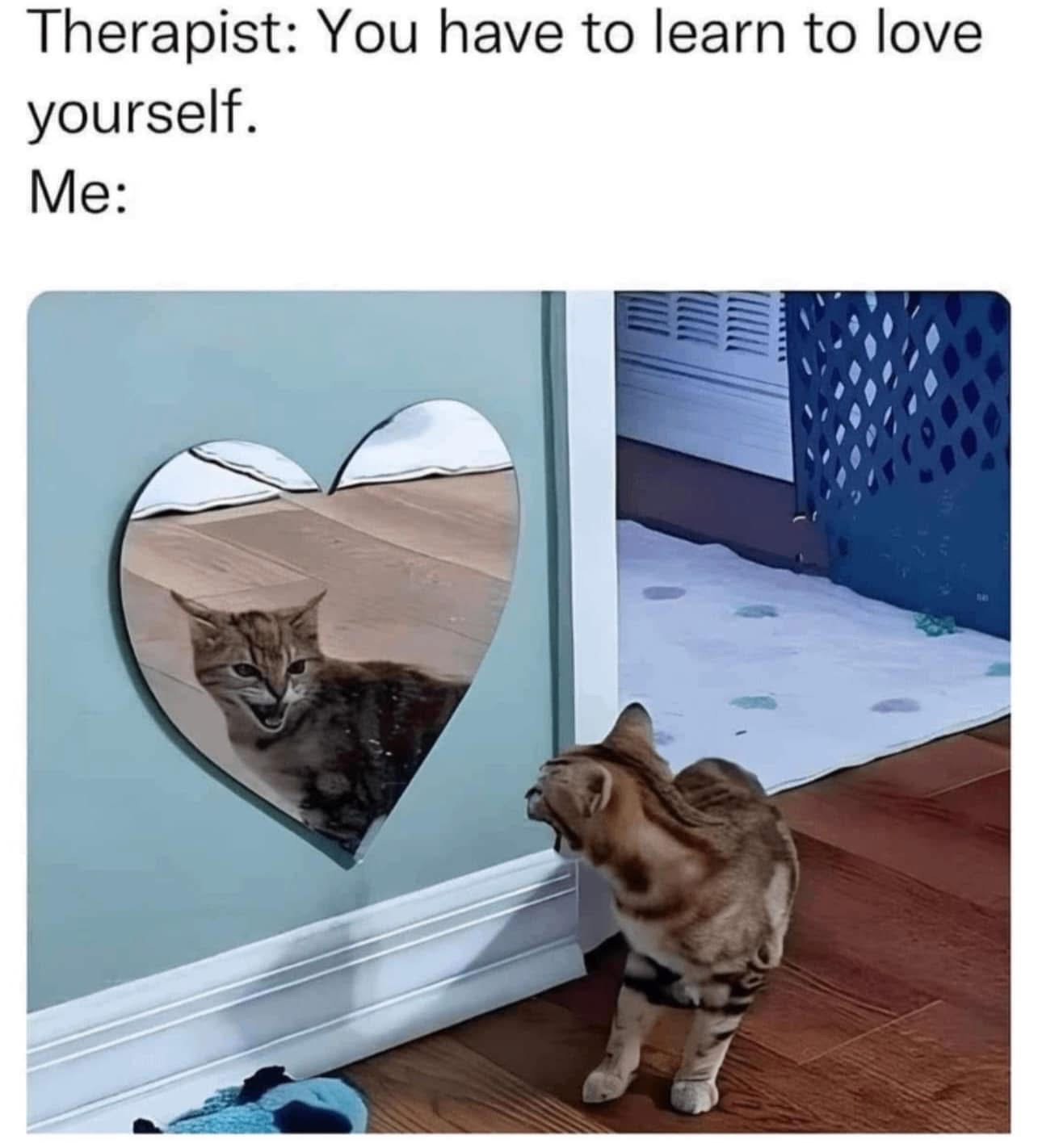 Therapist says love yourself, me looking in the mirror: