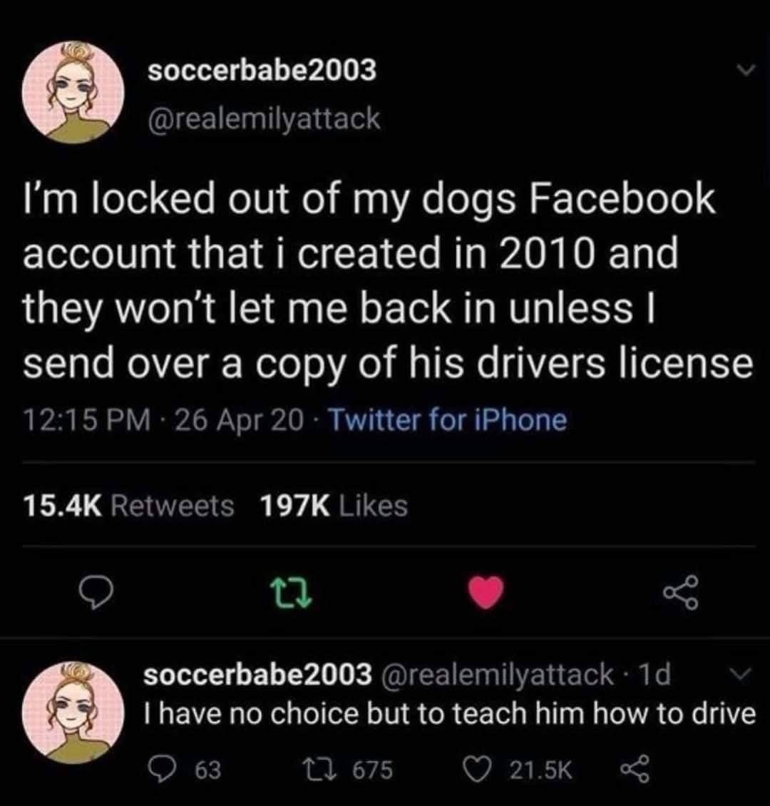 This person got locked out of their dog's Facebook account and now has to teach him to drive to get back in lol