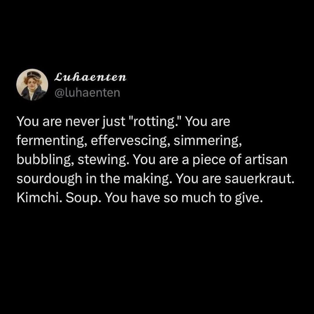 Me telling myself I'm not lazy, I'm just an artisanally fermented creation like sourdough or kimchi