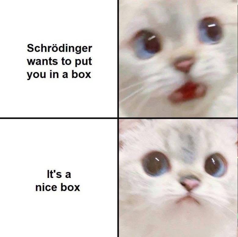 Schrödinger's cat is okay with being put in a box as long as it's a nice one