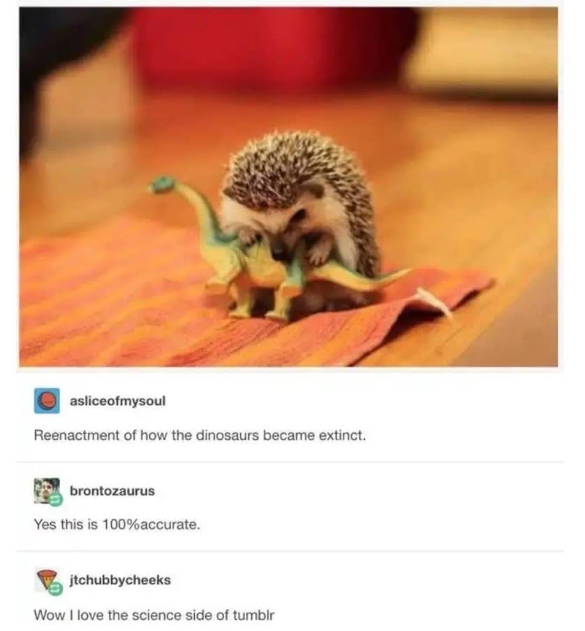 So this is how the dinosaurs actually went extinct, huh? The science on Tumblr is wild.