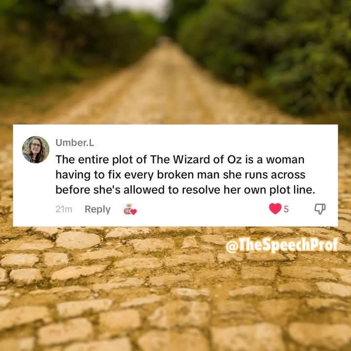 Someone just hilariously summarized The Wizard of Oz based on the main character fixing everyone else first.