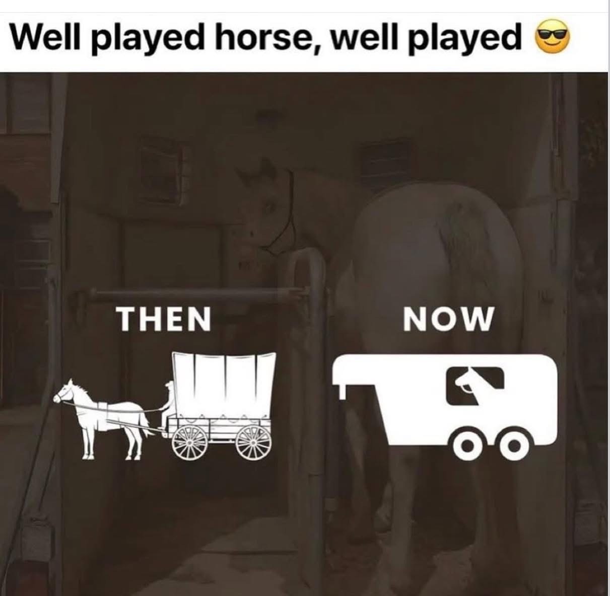 Horse is over the whole horse and buggy thing, apparently.
