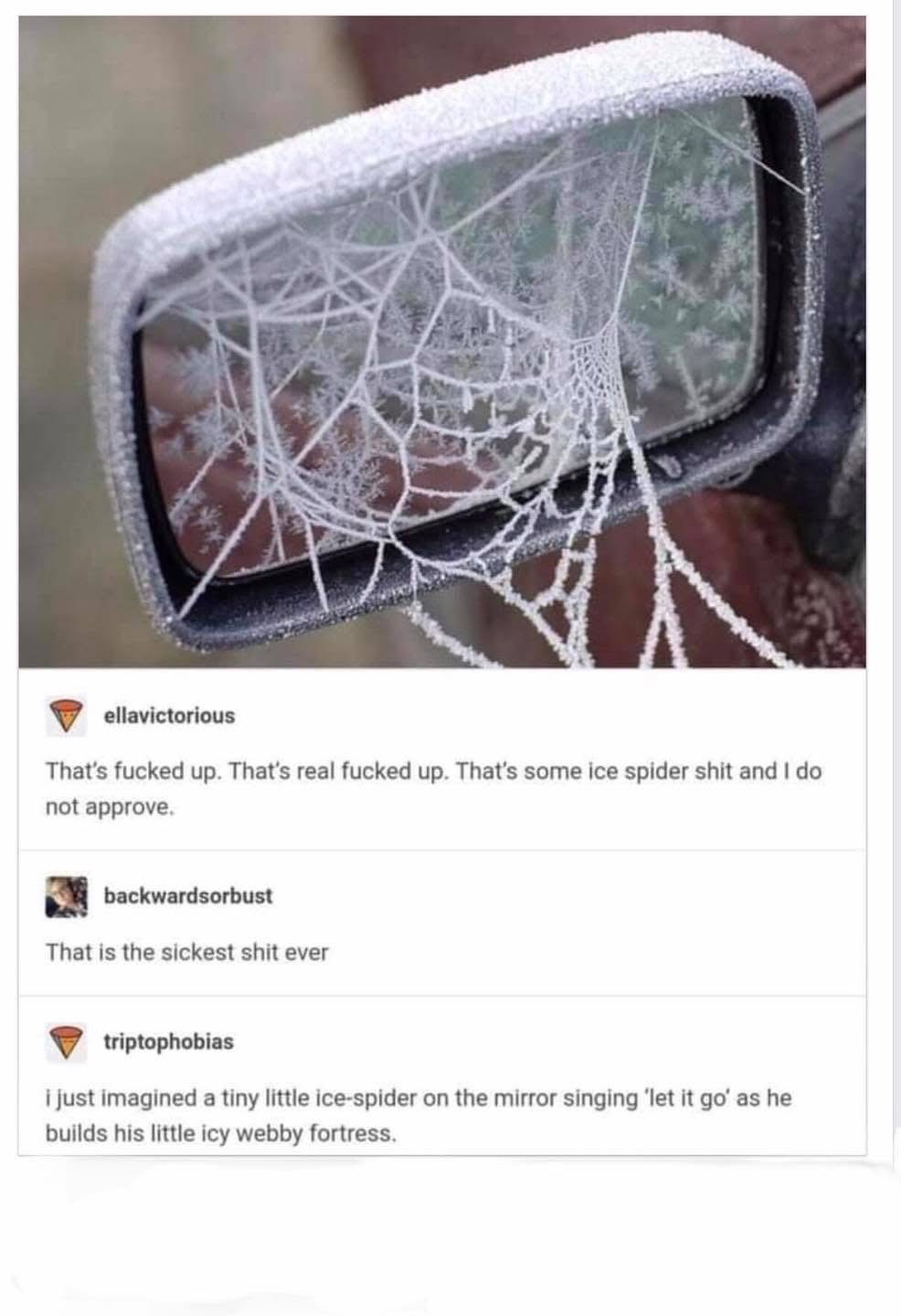 Imagine a tiny ice spider singing 'Let It Go' while building its frosty web on your car mirror