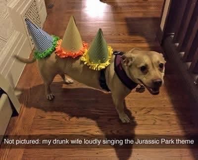 He's really embracing his inner T-Rex for Jurassic Park night.