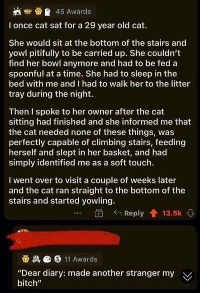 When the cat you thought was dying actually just thinks you're a really fancy can opener and chauffeur.