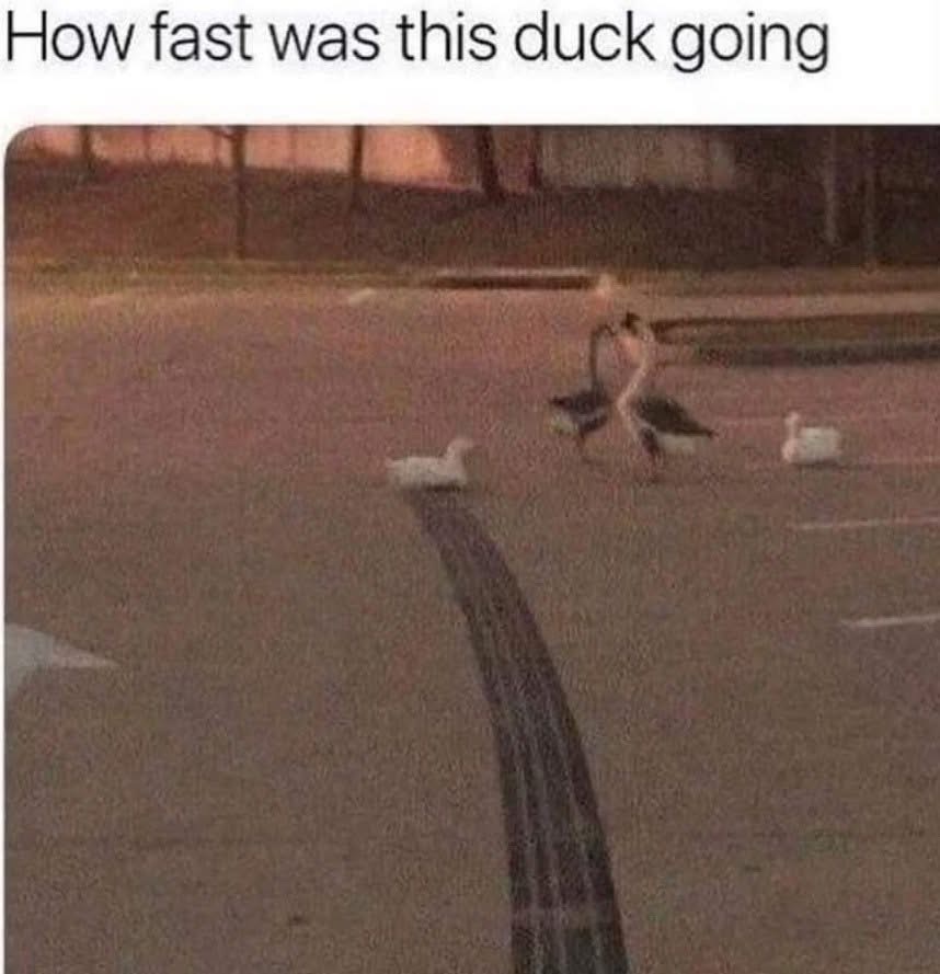 When you need to get somewhere but waddle is life